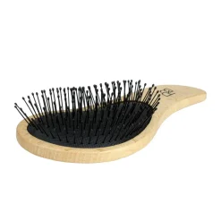 Beechwood Detangling Brush - Displayer of 12