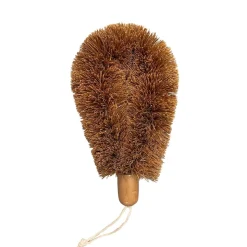 Coconut Wet n' Dry Brush (Various Sizes)