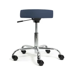 RMT Package With Earthlite Ellora Lift Flat Top Electric Massage Table 30