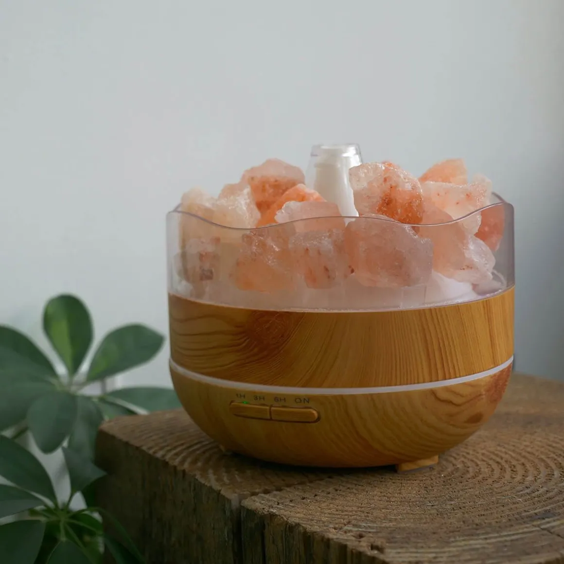 Salt of the Earth Essential Oil Diffuser